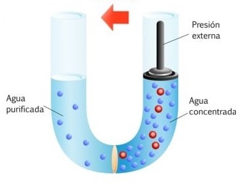 Proceso de Desinfección